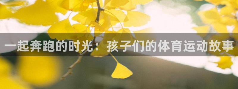 bbin视讯下