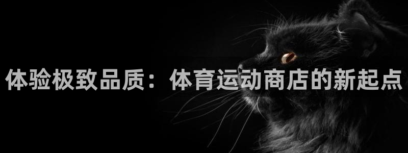 bbin视讯下